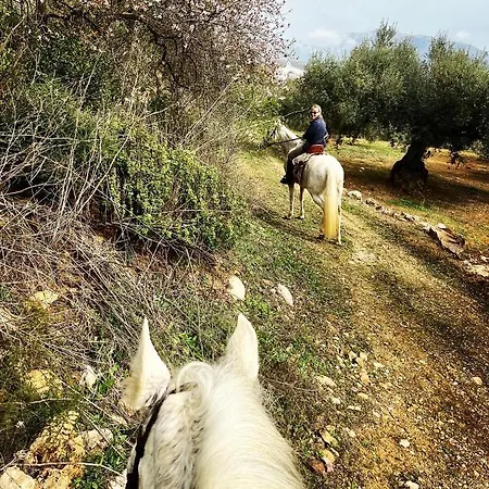 La Cuadra De Don Carmelo *