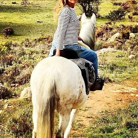 La Cuadra De Don Carmelo